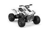 Dune buggy