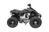Quad