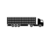 Cattle Body